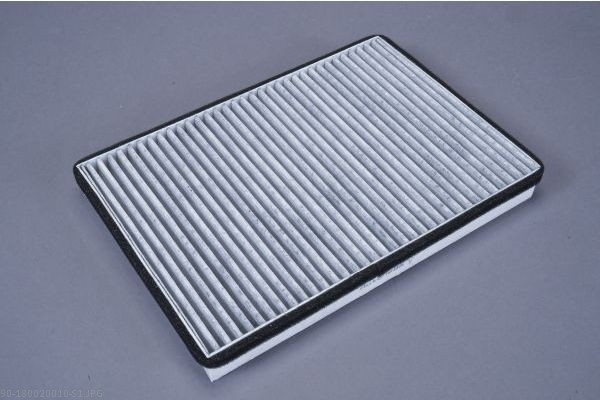 AUTOMEGA Kabineluftfilter 180020010 for CITROËN/PEUGEOT