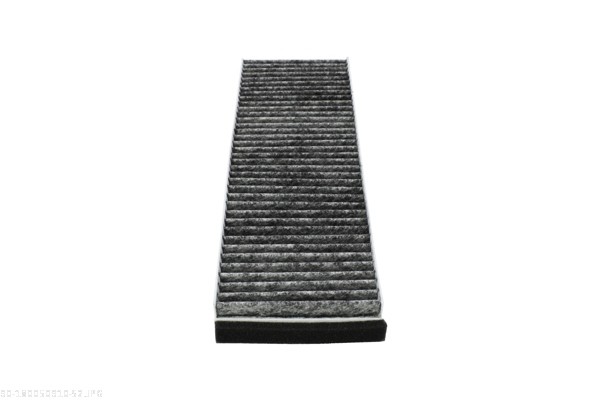 AUTOMEGA Kabineluftfilter 180050910 for VAG AUDI