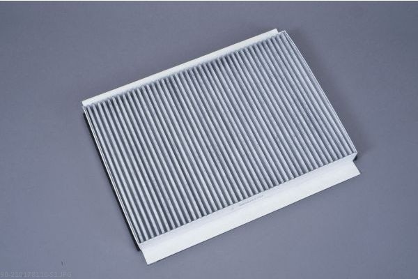 AUTOMEGA Kabineluftfilter 210178110 for SMART