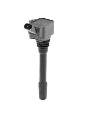 BORGWARNER (BERU) Tændspole zs587 for ABARTH