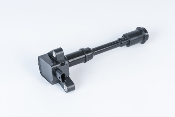 BORGWARNER (BERU) Tændspole zse203 for FORD VOLVO