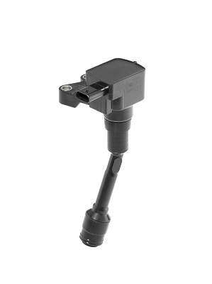 BORGWARNER (BERU) Tændspole zse215 for FORD