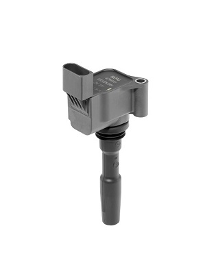BORGWARNER (BERU) Tændspole zse223 for CUPRA VAG