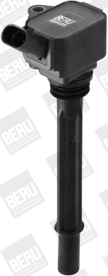 BORGWARNER (BERU) Tændspole zs096 for FIAT CHRYSLER