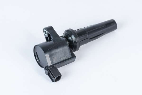 BORGWARNER (BERU) Tændspole zs592 for FORD