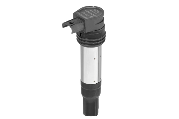 BORGWARNER (BERU) Tændspole zse229 for BMW