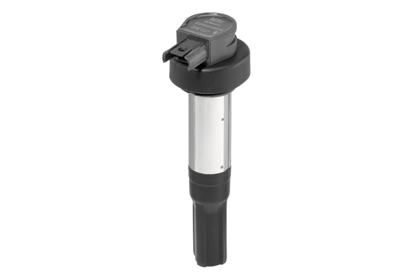 BORGWARNER (BERU) Tændspole zse227 for BMW
