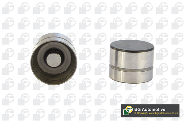 BGA Ventilløfter hl5317 Indsugningsside for FORD VW