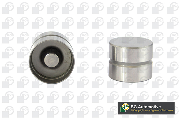 BGA Ventilløfter hl6309 Indsugningsside for FORD MAZDA KIA