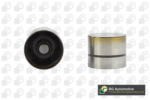 BGA Ventilløfter hl6319 Indsugningsside for VOLVO PEUGEOT RENAULT