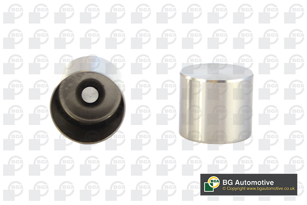 BGA Ventilløfter hl7357 Indsugningsside for VAUXHALL RENAULT