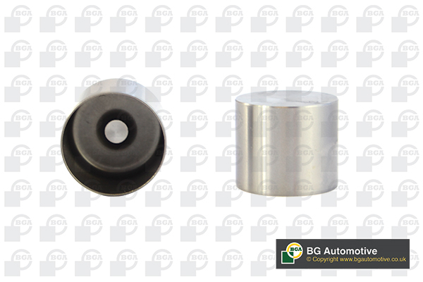 BGA Ventilløfter hl7361 Indsugningsside for VAUXHALL RENAULT