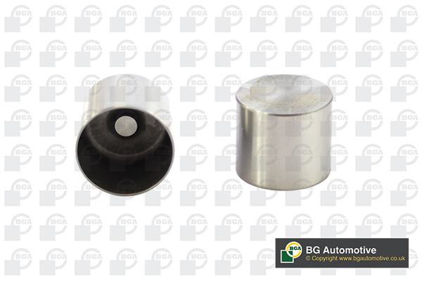 BGA Ventilløfter hl7366 Indsugningsside for VAUXHALL RENAULT