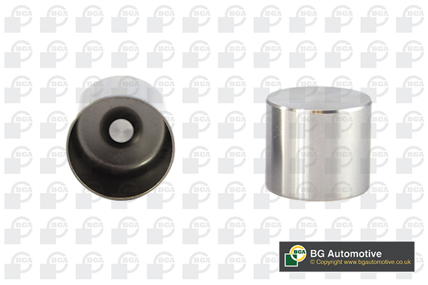 BGA Ventilløfter hl7369 Indsugningsside for VAUXHALL RENAULT