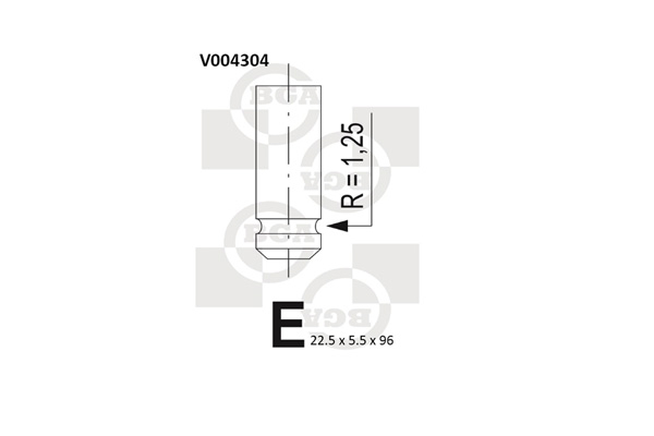 BGA Udstødningsventil v004304 for NISSAN