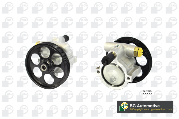 BGA Hydraulikpumpe, styresystem psp6305 for OPEL GENERAL MOTORS NISSAN RENAULT