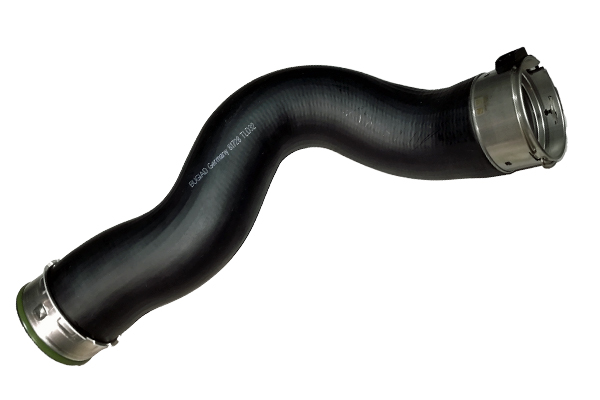 BUGIAD Ladeluftslange 81728 for BMW