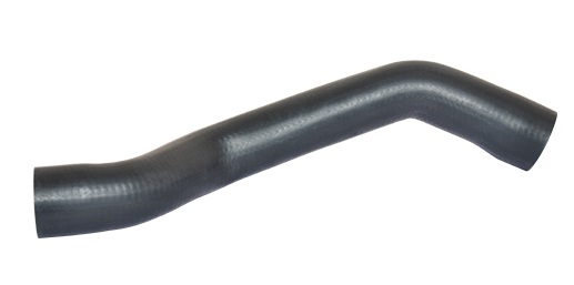 BUGIAD Ladeluftslange 88643 for ALFA ROMEO
