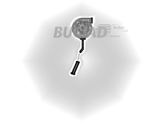 BUGIAD Ladeluftslange 88800 for RENAULT