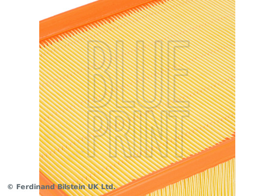 BLUE PRINT Luftfilter adbp220181 Filterindsats length_mm_203|Længde [mm]|275 width_mm_206|Bredde [mm]|232 height_mm_209|Højde [mm]|64 supplementary_ar