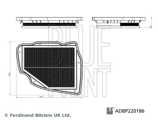 BLUE PRINT Luftfilter adbp220186 Filterindsats length_mm_203|Længde [mm]|313 width_mm_206|Bredde [mm]|250 height_mm_209|Højde [mm]|48 supplementary_ar