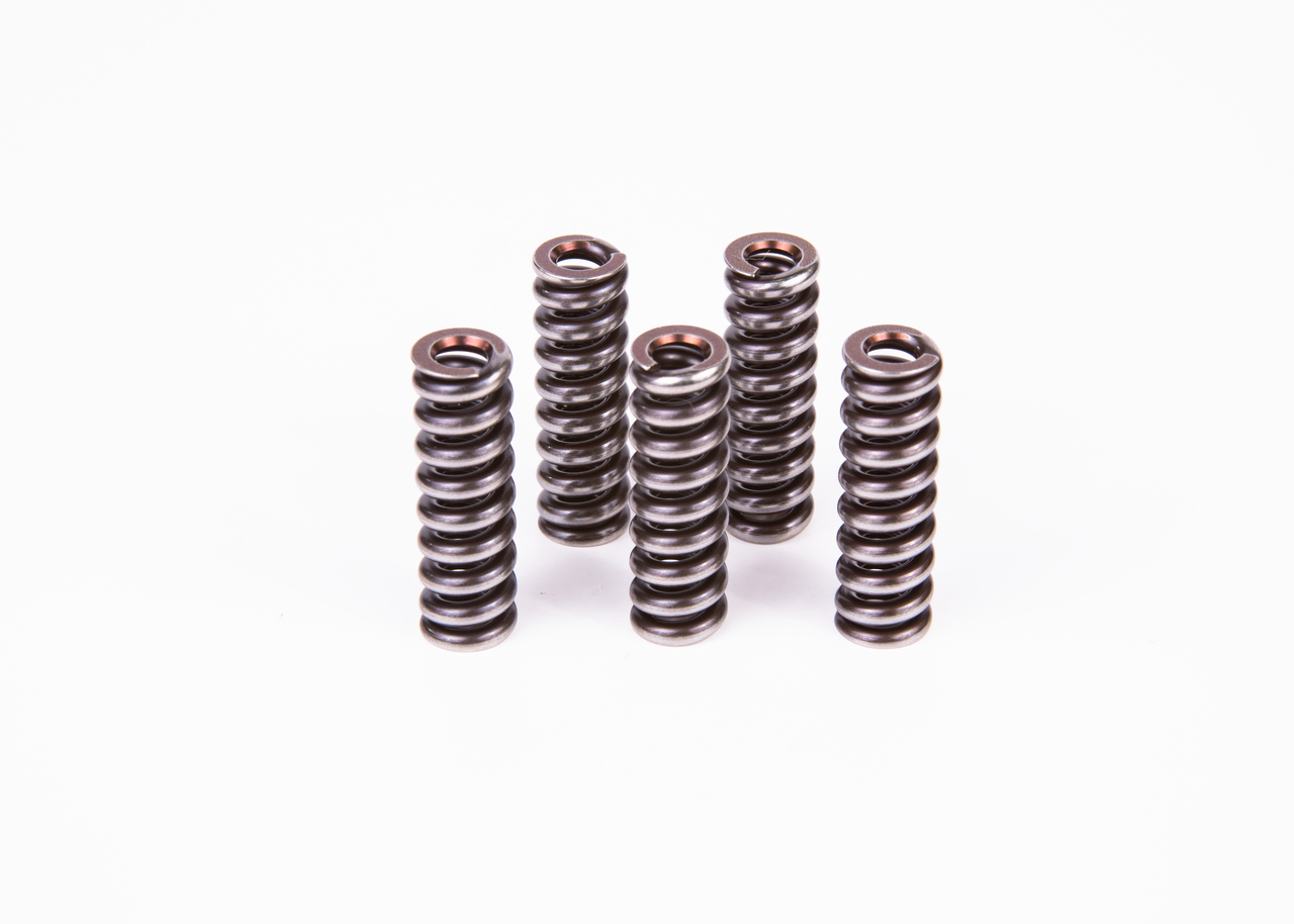 BOSCH Fjeder 2434614022 for VOLVO DAF IVECO MAN MERCEDES-BENZ RENAULT