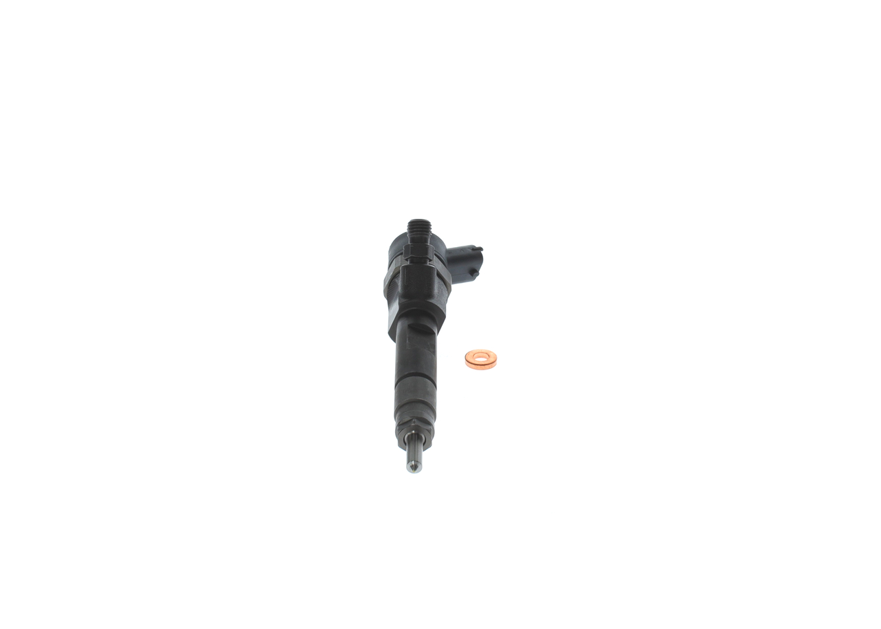 BOSCH Indsprøjtningsdyse 0445110110 for RENAULT