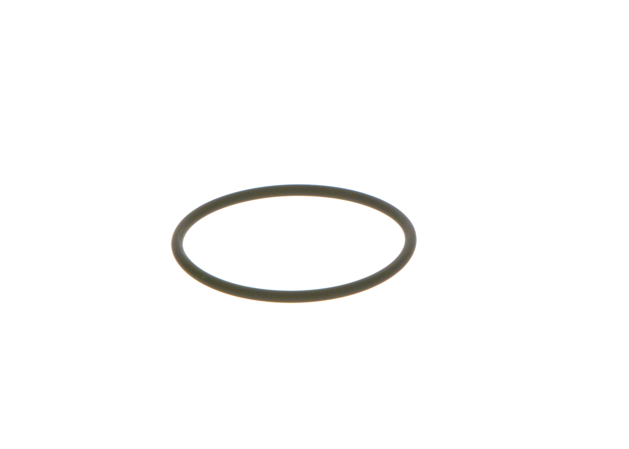BOSCH Gummiring F 00N 202 130 for RENAULT