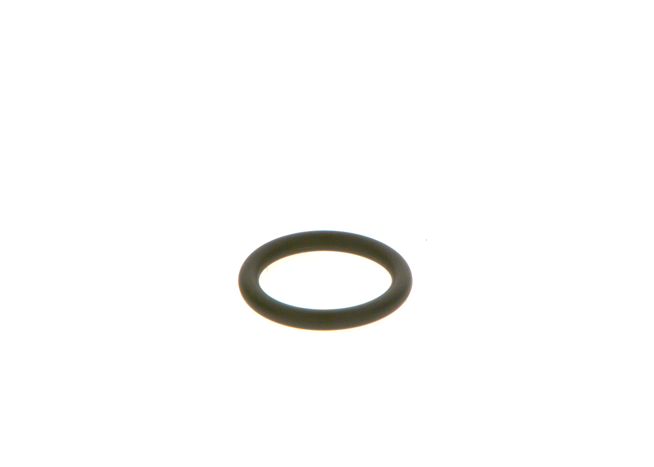 BOSCH Gummiring F 00R J01 605 for FIAT
