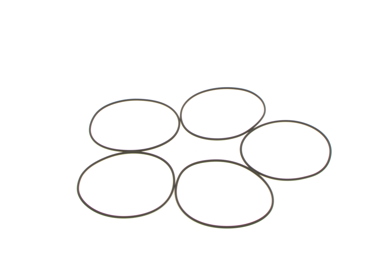 BOSCH Gummiring 1410210054 for VOLVO DAF FIAT MAN MERCEDES-BENZ RENAULT