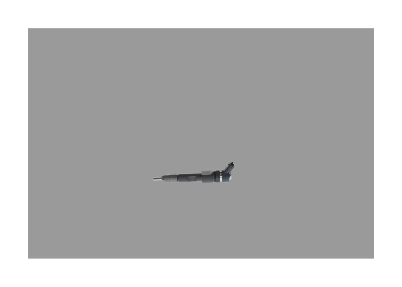 BOSCH Indsprøjtningsdyse 0445110230 for RENAULT SUZUKI