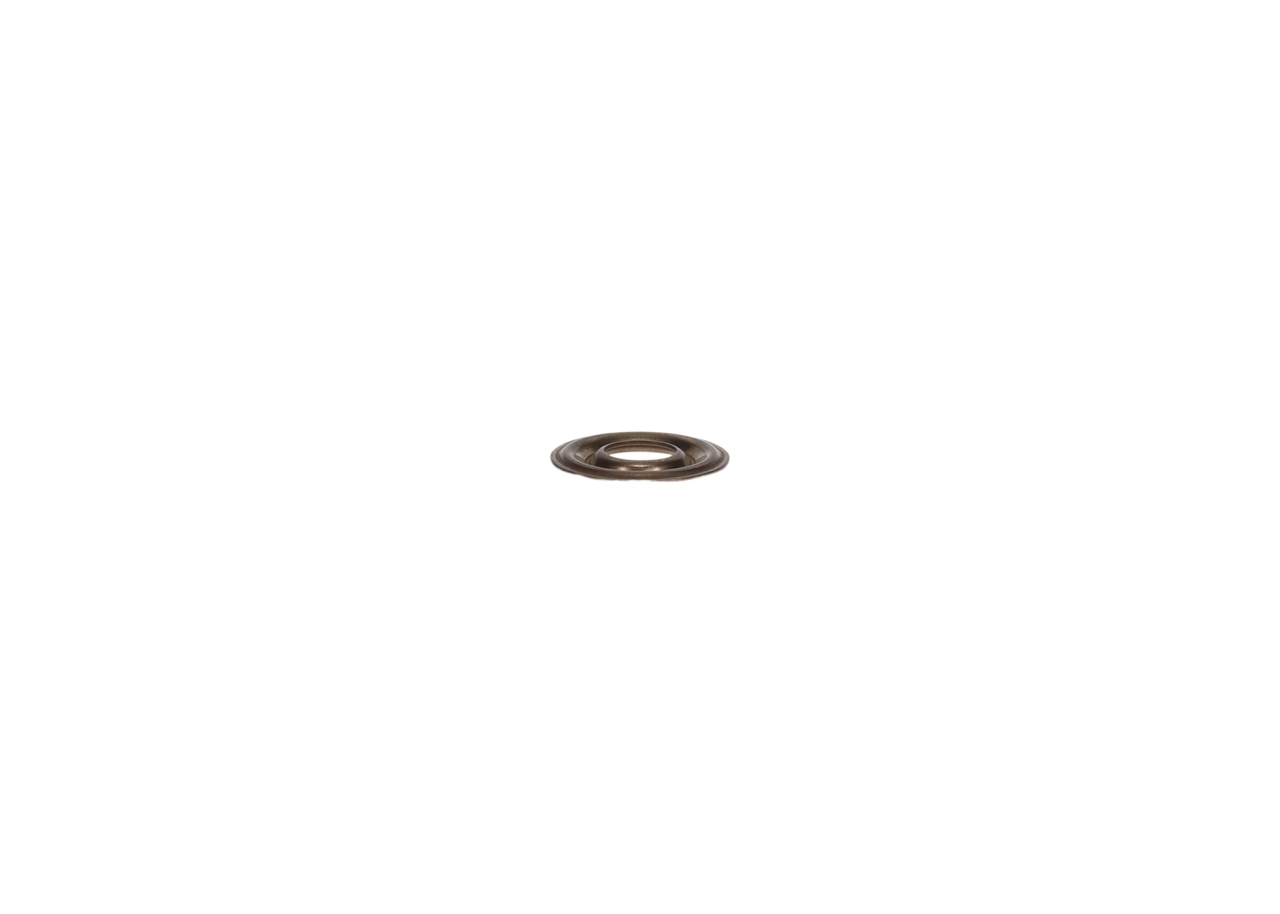 BOSCH Tætningsring, dyseholder 2430190010 for PEUGEOT CITROËN NISSAN