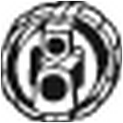 BOSAL 255104 for PEUGEOT FIAT LANCIA