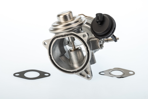 BORGWARNER EGR-ventil 7650d for VW