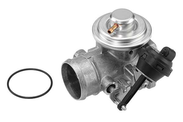 BORGWARNER EGR-ventil 7223d for VW