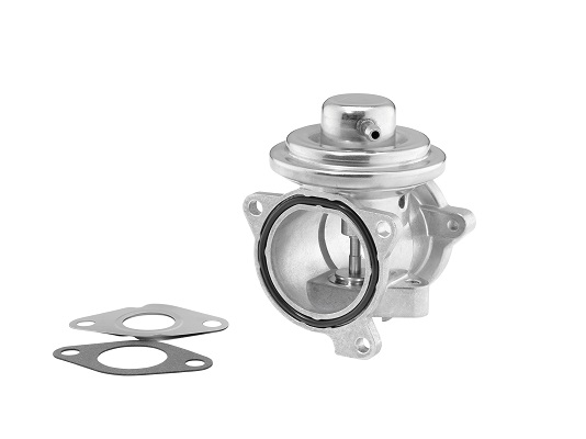 BORGWARNER EGR-ventil 7271d for SEAT VW MERCEDES-BENZ