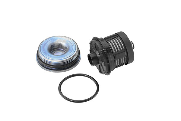 BORGWARNER (AWD) Hydraulikfilter, lamelkobling, firhjulstræk ds120456 bagaksel for VW