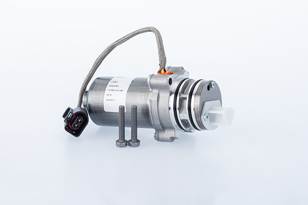 BORGWARNER (AWD) ds2010676 bagaksel