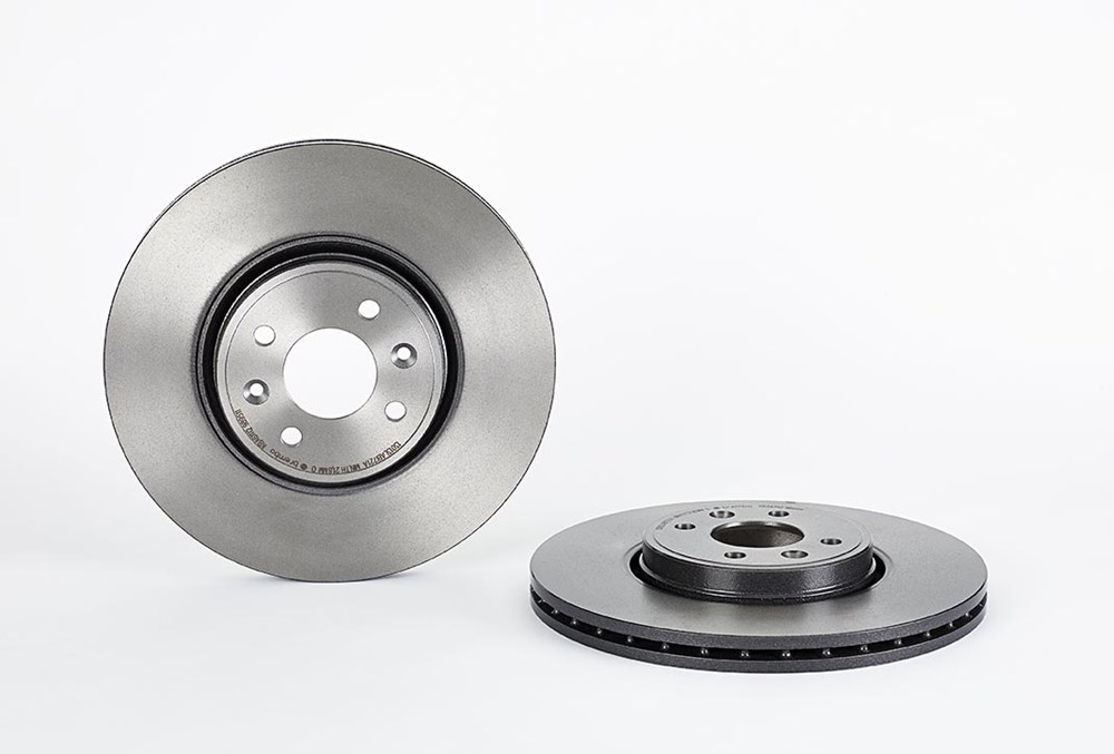 BREMBO Bremseskive 09989511 300mm 24mm for RENAULT FENGXING