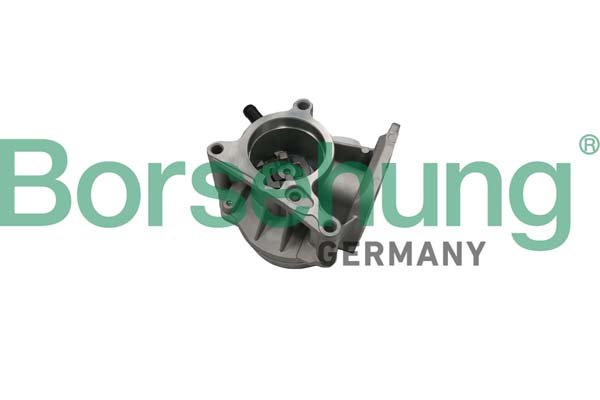 BORSEHUNG Vakuumpumpe, bremsesystem b18666 for VW