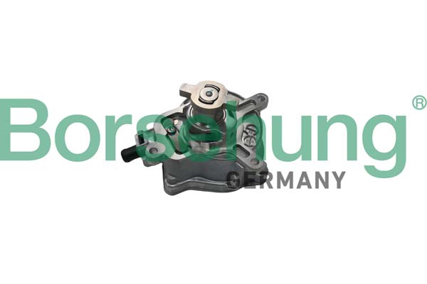 BORSEHUNG Vakuumpumpe, bremsesystem b18774 for VW