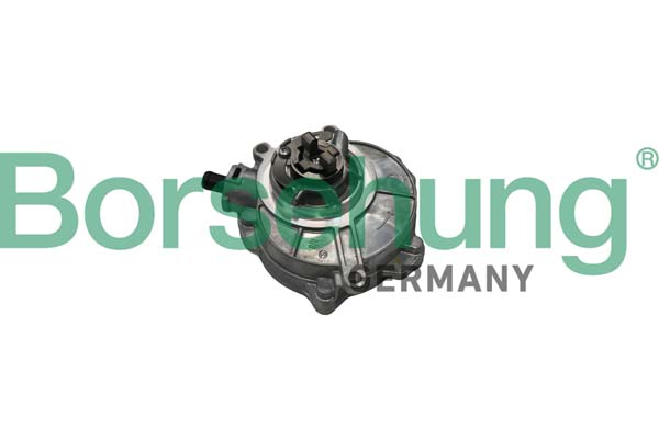 BORSEHUNG Vakuumpumpe, bremsesystem b18773 for VAG