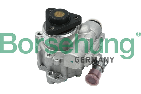BORSEHUNG Hydraulikpumpe, styresystem b13209 for VAG