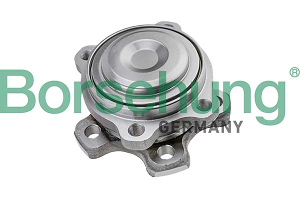 BORSEHUNG Hjullejesæt B11710 foraksel for BMW