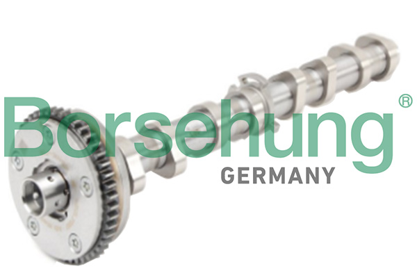BORSEHUNG Knastaksel b18979 Indsugningsside for VW