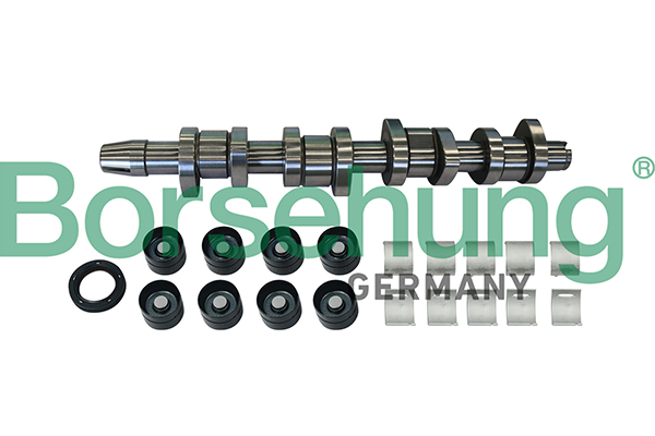 BORSEHUNG Knastakselsæt b11307 for VW