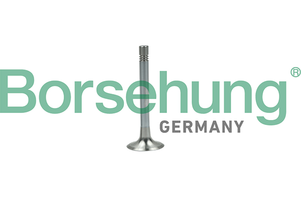 BORSEHUNG Udstødningsventil b19003 for VW
