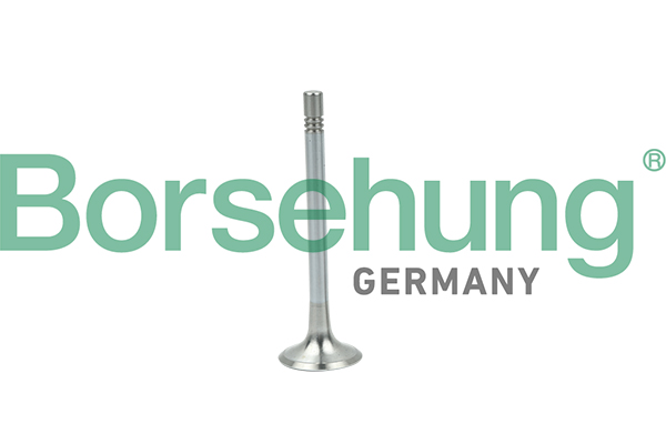 BORSEHUNG Udstødningsventil b19004 for VW