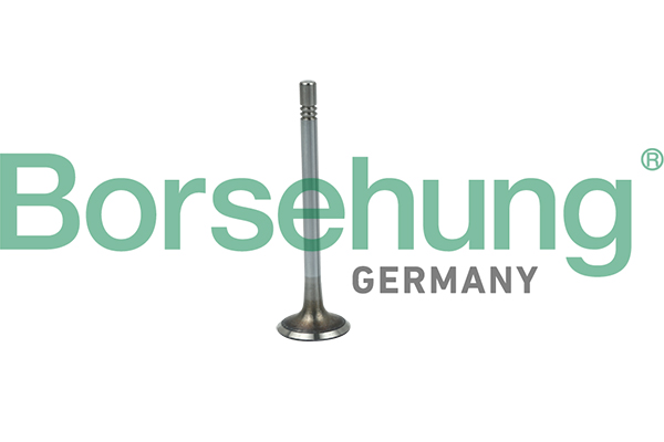 BORSEHUNG Indsugningsventil b19020 for VW