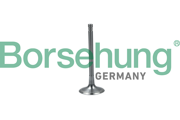 BORSEHUNG Indsugningsventil b19024 for VW